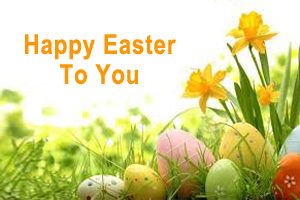 Happy Easter To You - Easter Eggs and Daffodils